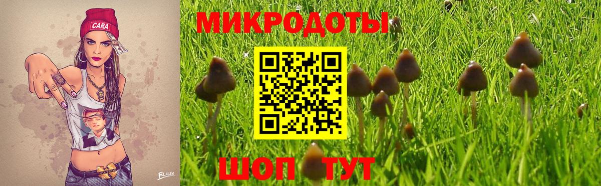Псилоцибиновые грибы Cubensis Дубна