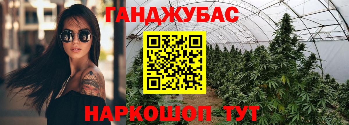 Бошки Шишки план Дубна